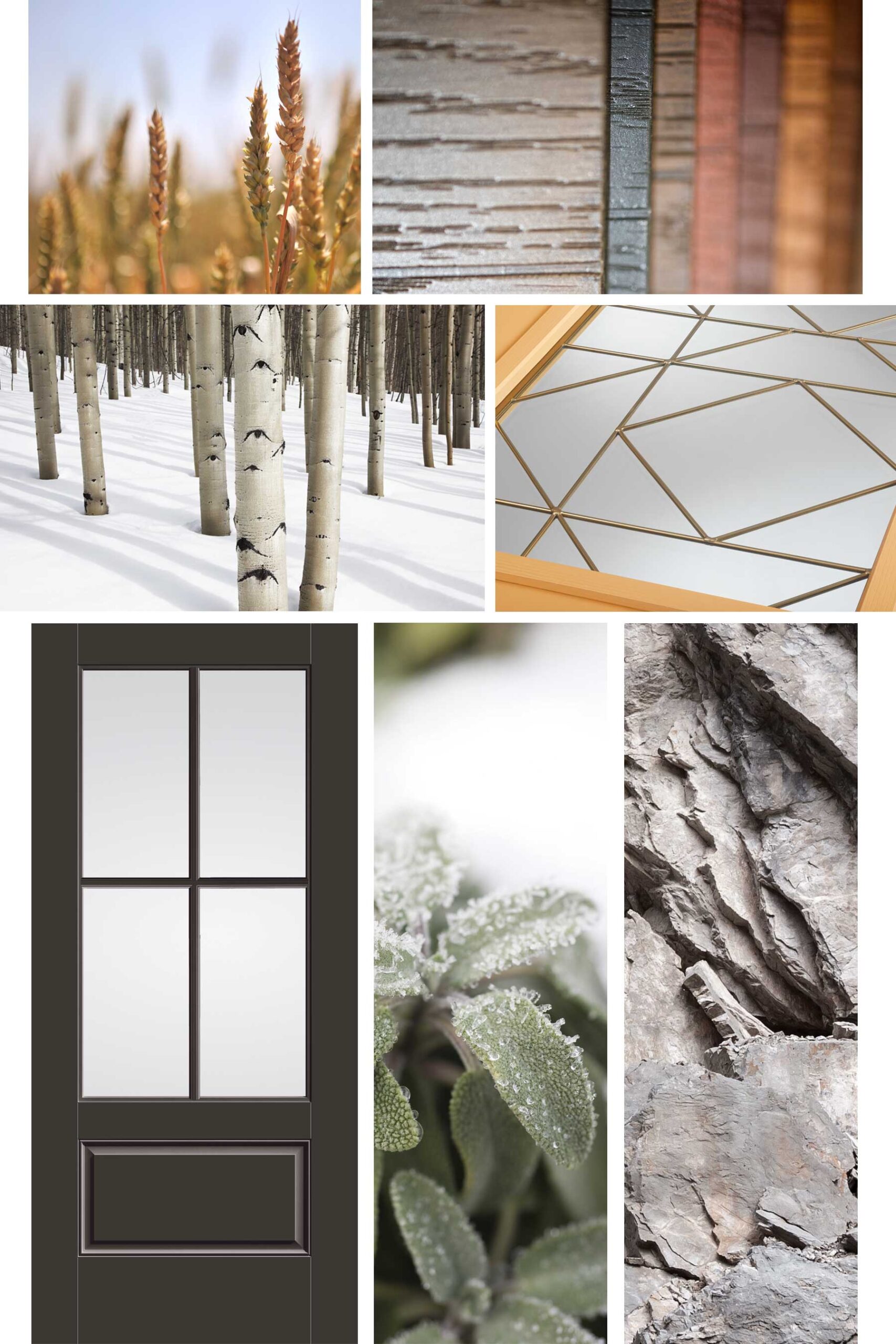 Alliance-ProCoat-Collage