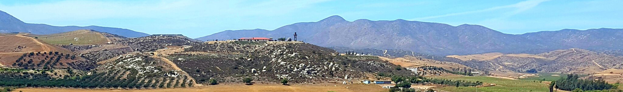 View of Mount of Olives banner
